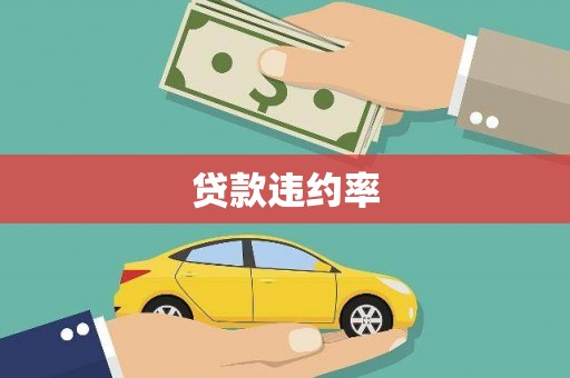 大武口贷款违约率