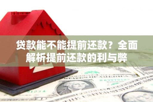 大武口贷款能不能提前还款？全面解析提前还款的利与弊