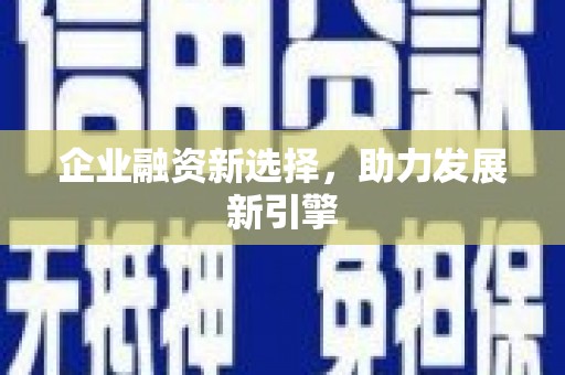 大武口企业融资新选择，助力发展新引擎