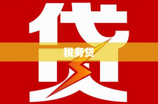 大武口税务贷