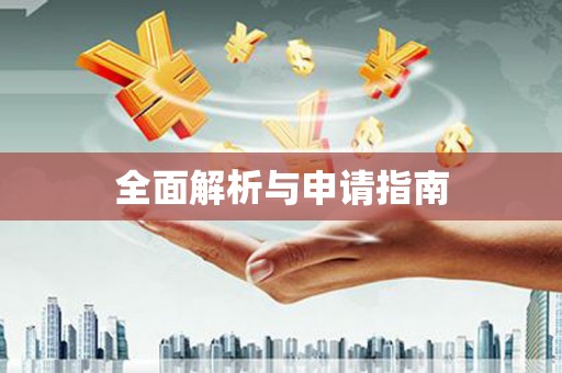 大武口全面解析与申请指南