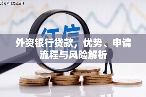 大武口外资银行贷款，优势、申请流程与风险解析