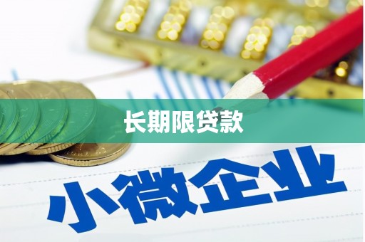 大武口长期限贷款