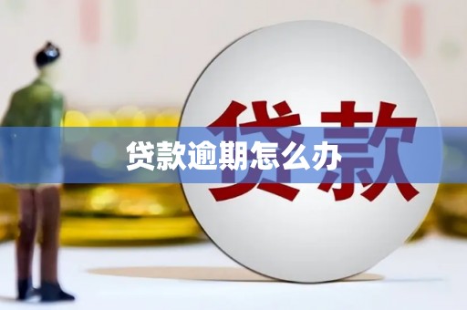 大武口贷款逾期怎么办