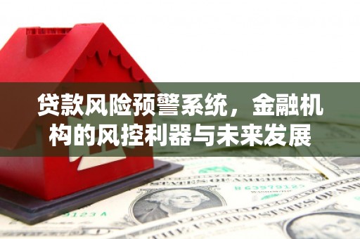 大武口贷款风险预警系统，金融机构的风控利器与未来发展
