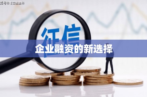 大武口企业融资的新选择