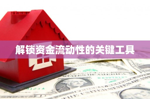 大武口解锁资金流动性的关键工具