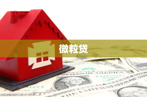 大武口微粒贷