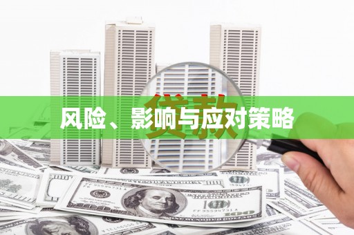 大武口风险、影响与应对策略