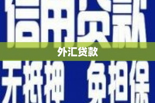 大武口外汇贷款