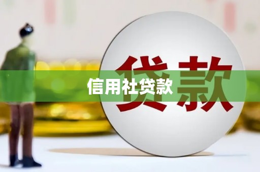 大武口信用社贷款