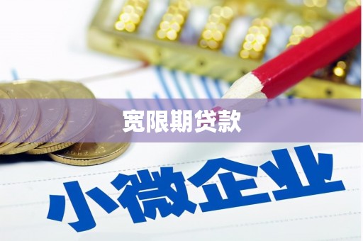 大武口宽限期贷款