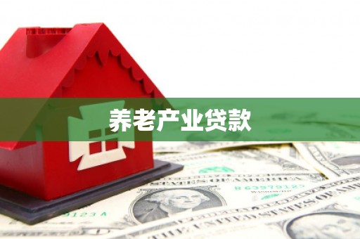 大武口养老产业贷款
