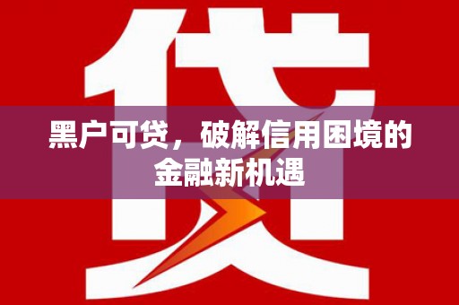 大武口黑户可贷，破解信用困境的金融新机遇