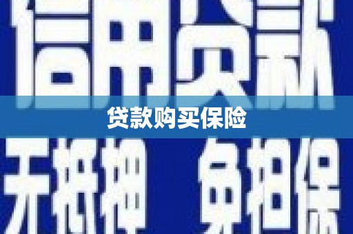 大武口贷款购买保险
