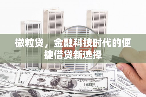 大武口微粒贷，金融科技时代的便捷借贷新选择