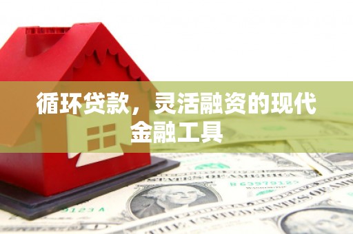 大武口循环贷款，灵活融资的现代金融工具