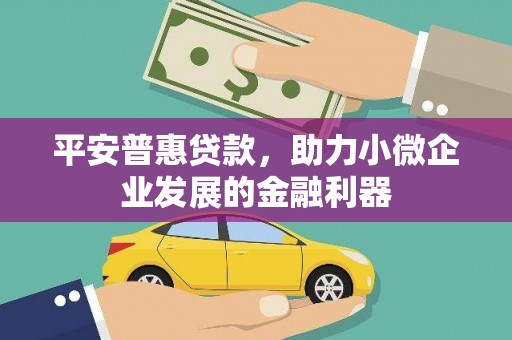 大武口平安普惠贷款，助力小微企业发展的金融利器