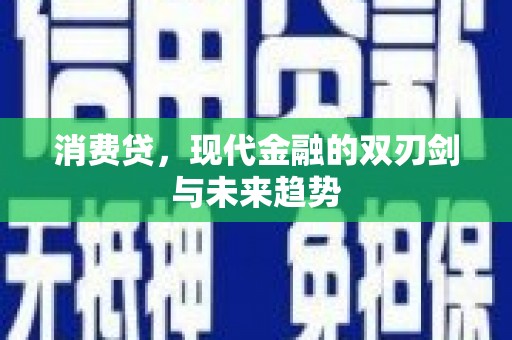 大武口消费贷，现代金融的双刃剑与未来趋势