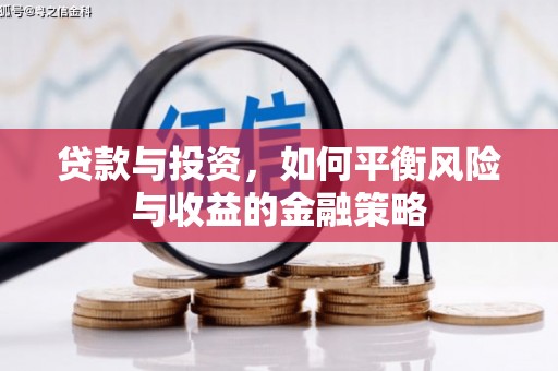 大武口贷款与投资，如何平衡风险与收益的金融策略