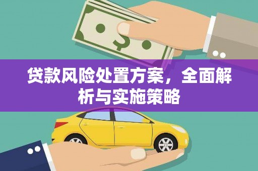 大武口贷款风险处置方案，全面解析与实施策略